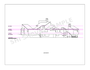 An existing building survey elevation.